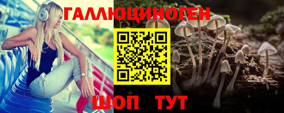 Галлюциногенные грибы Psilocybe Скопин